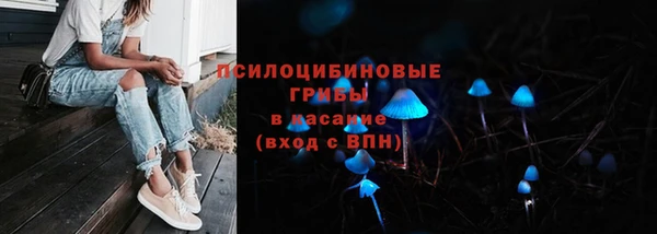 дурь Переславль-Залесский