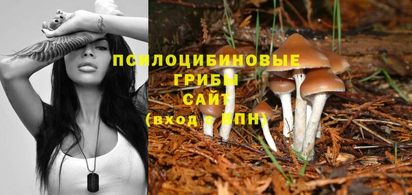 кокаин премиум Осинники