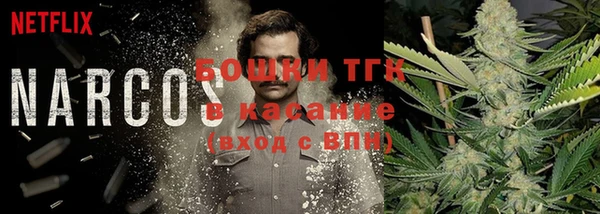 apvp Пересвет