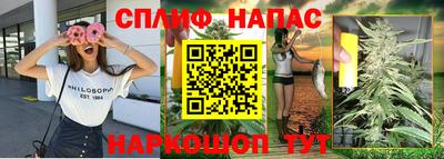 PSILOCYBIN Бугуруслан