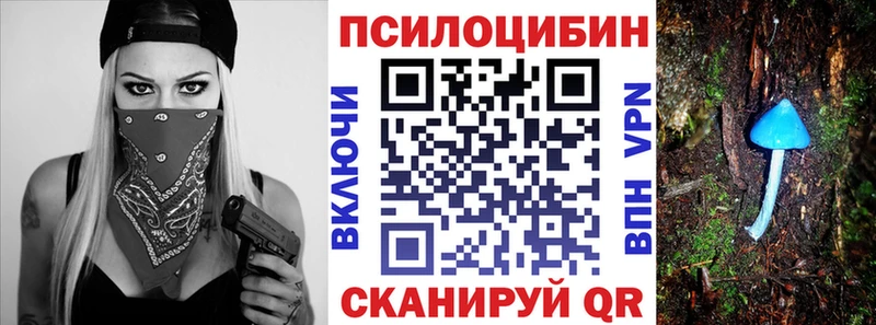 Псилоцибиновые грибы мицелий  Кашира 