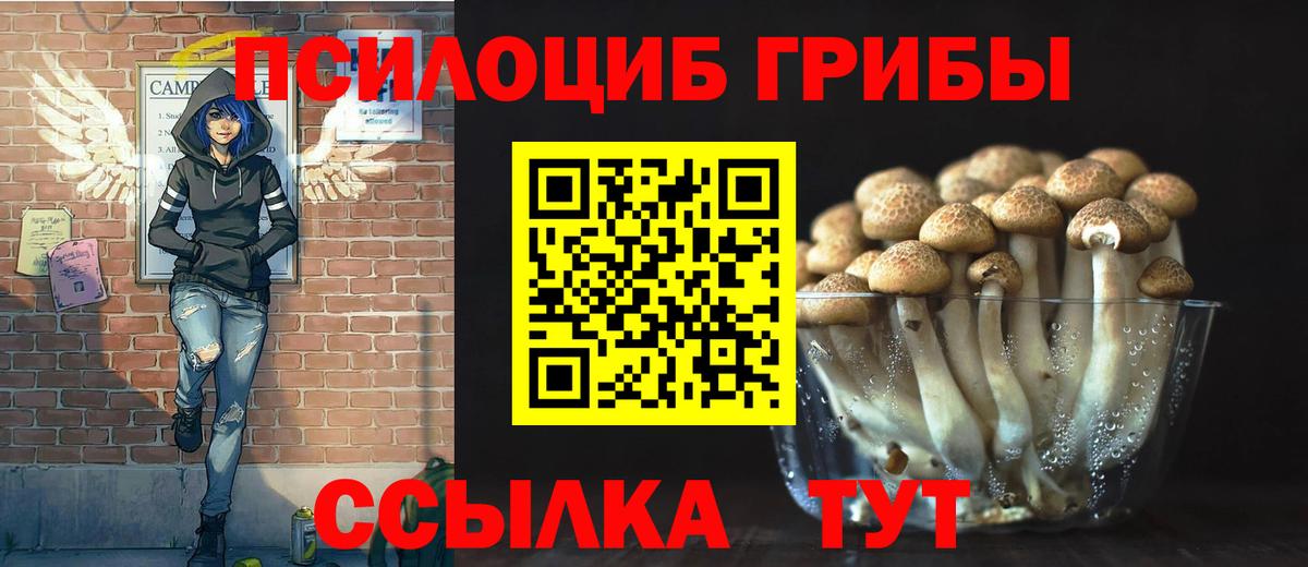 Галлюциногенные грибы Psilocybine cubensis  что такое   Кашира  Вход с VPN  Галлюциногенные грибы MAGIC MUSHROOMS 